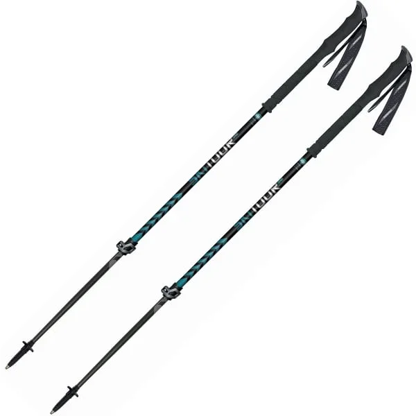 Bastón esquí de travesíaMASTERSSKI TOUR PRO BLACK/BLUE