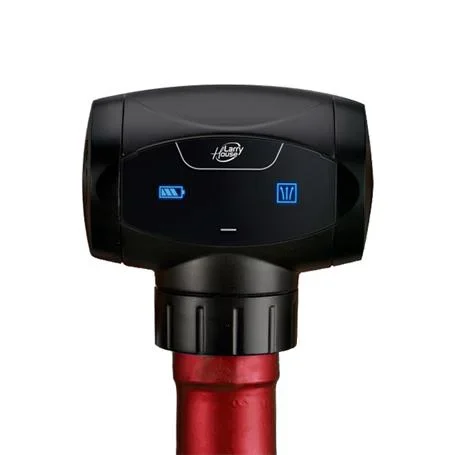 BOMBA AUTOMATICA DE VACIO BOTELLAS VINO CON INDICADORES LED LARRYHOUSE LH1800
