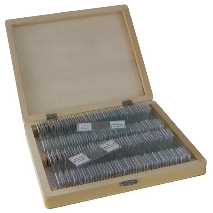 BRESSER Muestras preparadas 100 uds. caja