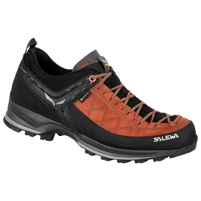 Calzado de aproximación Salewa MTN Trainer 2 Gore-Tex Autumnal Black