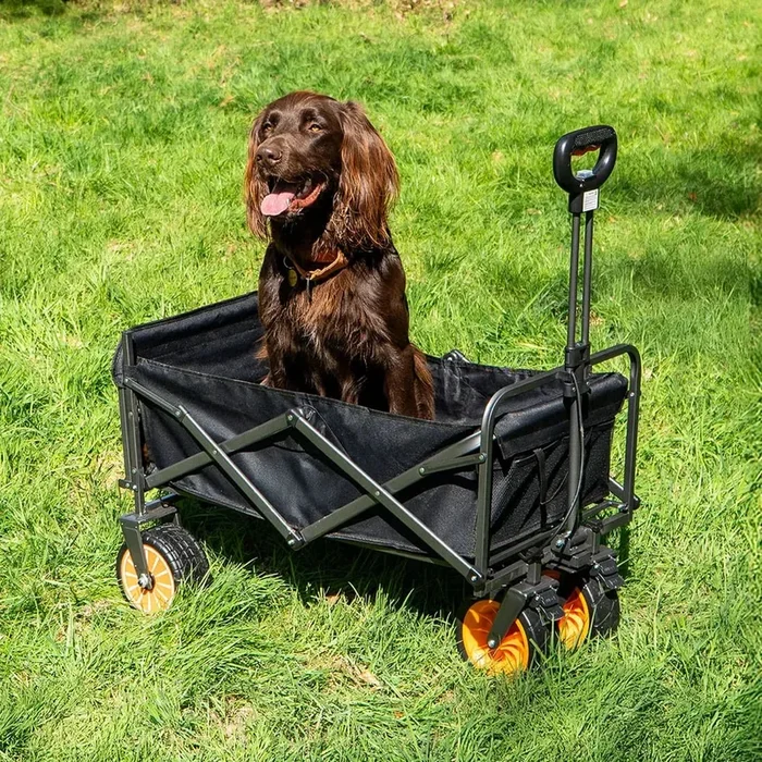 Electric Camping Wagon