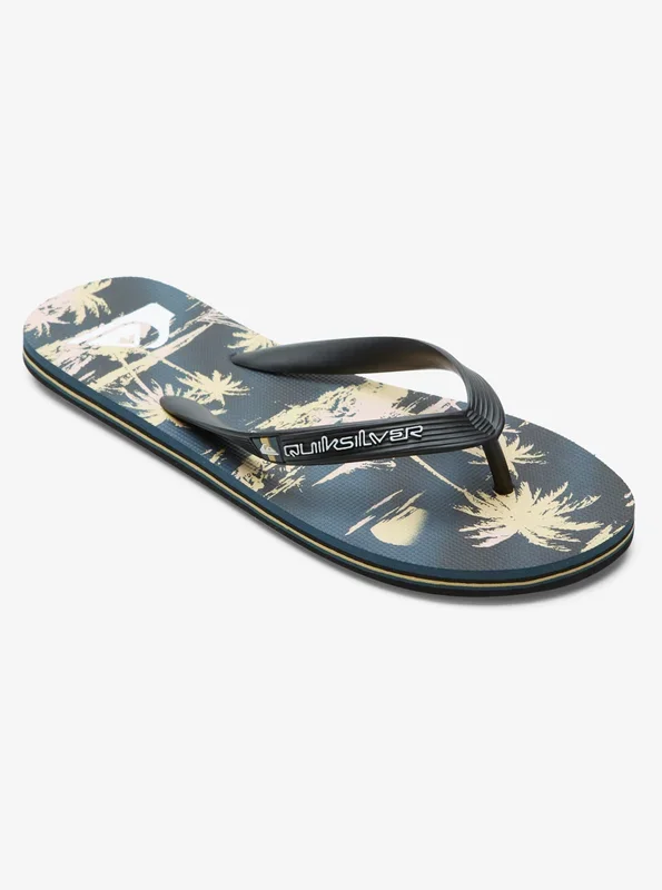 Quiksilver Air Flow Chanclas Hombre