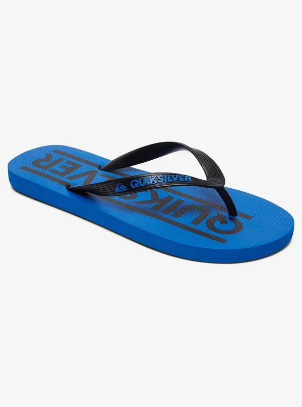 Quiksilver Java Wordmark Chanclas Niño