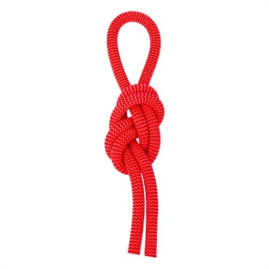 salewa Red 9.6 mm x 80 m
